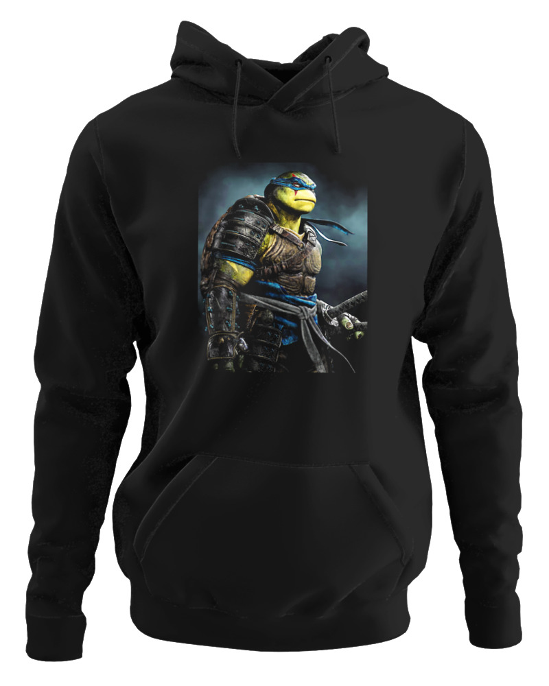 Turtles - Image 0