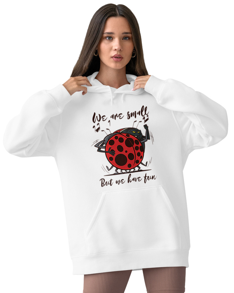 Φούτερ με κουκούλα - We Are Small But We Have Fun - Image 2